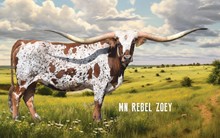 MN REBEL ZOEY 