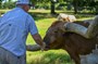 Woody loves to be fed treats by hand.
