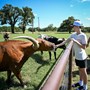 Ranch visitors love to feed the girls!  Photo courtesy of Clyde Stringer.
